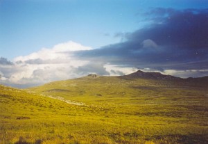 Paesaggio delle Falkland/Malvinas (fonte: wikipedia)